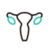 자궁경부암 검사 (대상자)